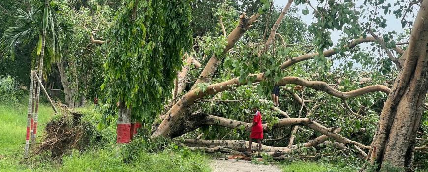 पानीसँगै आएको हावाहुरीले झापामा व्यापक क्षति, विद्युत तथा इन्टरनेट सेवा अवरुद्ध